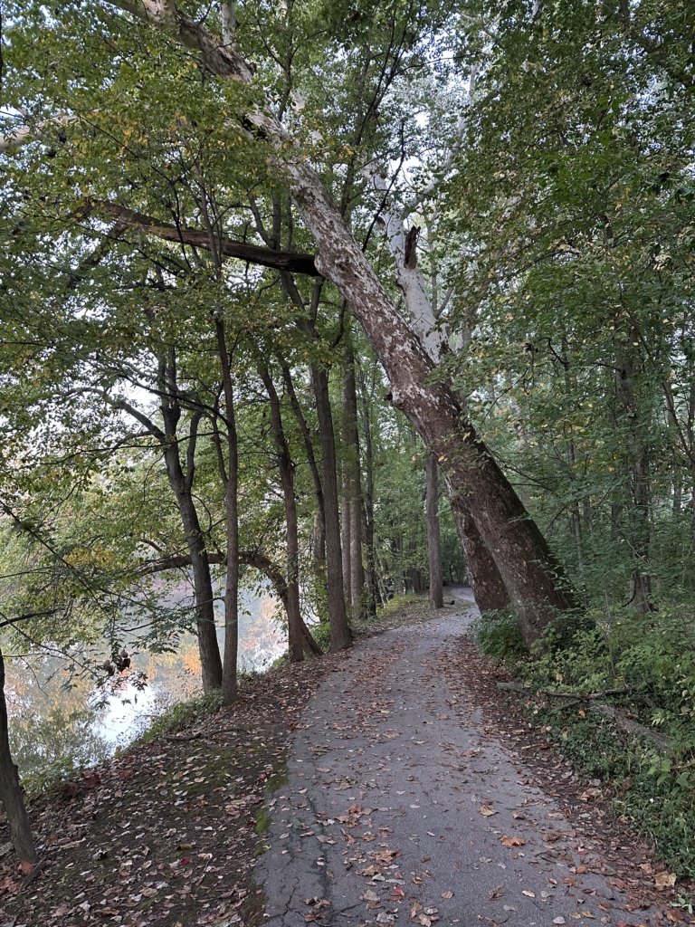 Walking trail in Johnny Appleseed Park